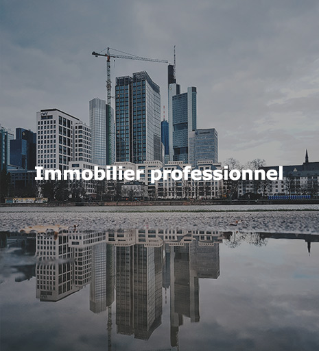 Immobilier professionnel